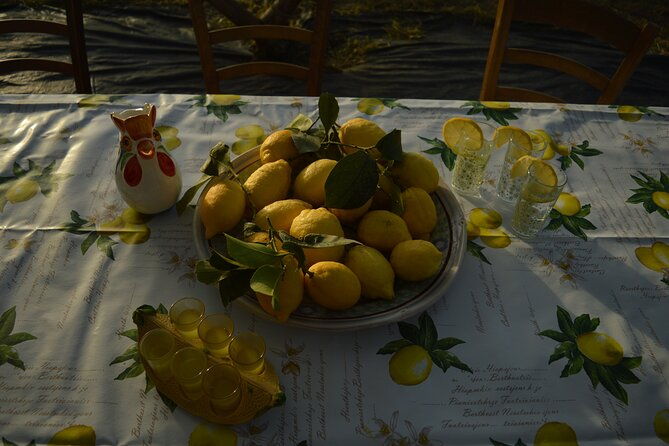 discovery-tour-of-sorrento-lemon-in-massa-lubrense-2