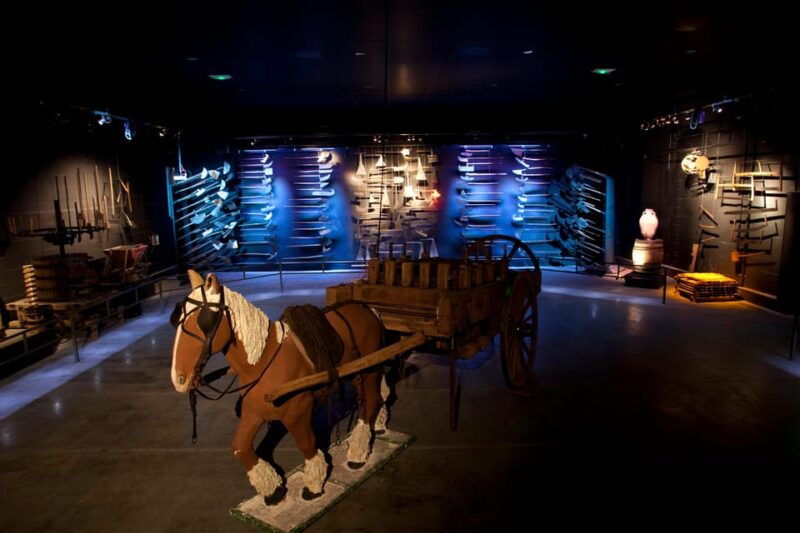 Discovery tour - Frequently Asked Questions