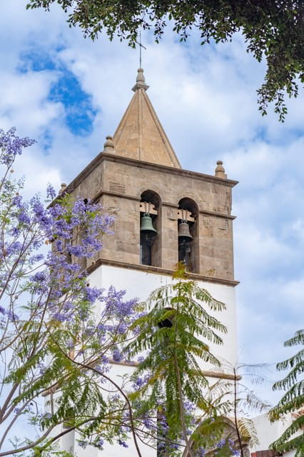 discovery-walks-teide-la-orotava-icod-de-los-vinos