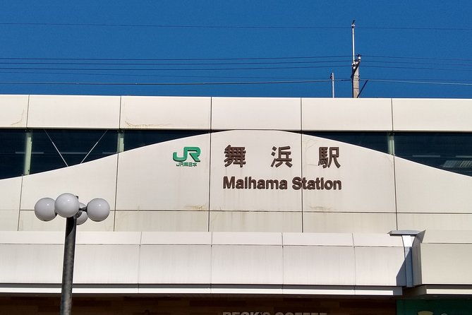 disneyland-sea-ticket-private-morning-ride-from-hotel-in-tokyo