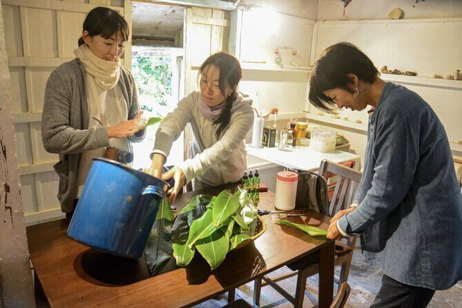 Distillation of Okinawa Herb Essential Oil and Herbal Water - Key Points