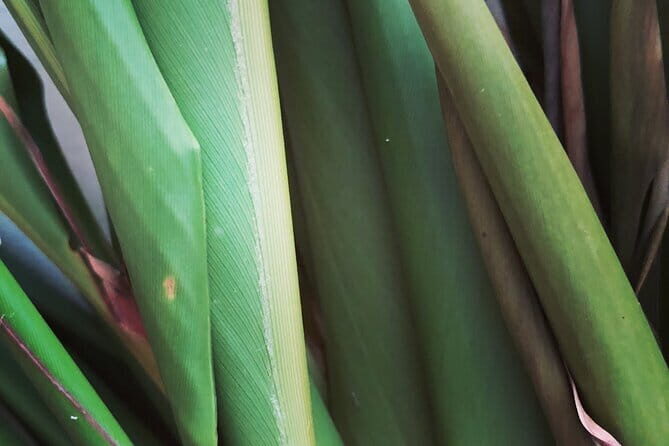 Distillation of Okinawa Herb Essential Oil and Herbal Water - Practical Tips for Travelers