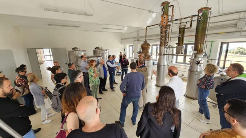 distilleria-alma-rum-distilery-guided-tour-tasting