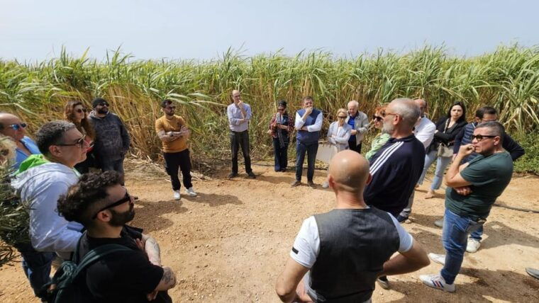 distilleria-alma-rum-distilery-guided-tour-tasting