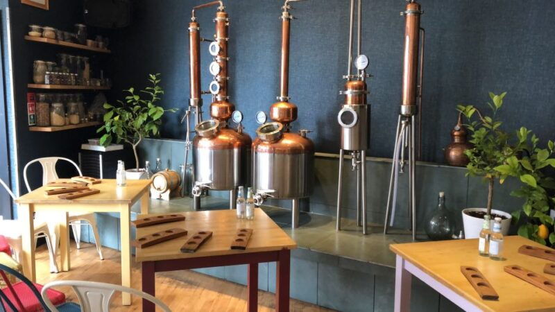 distillery-masterclass-8-scottish-gins-paired-with-cheeses