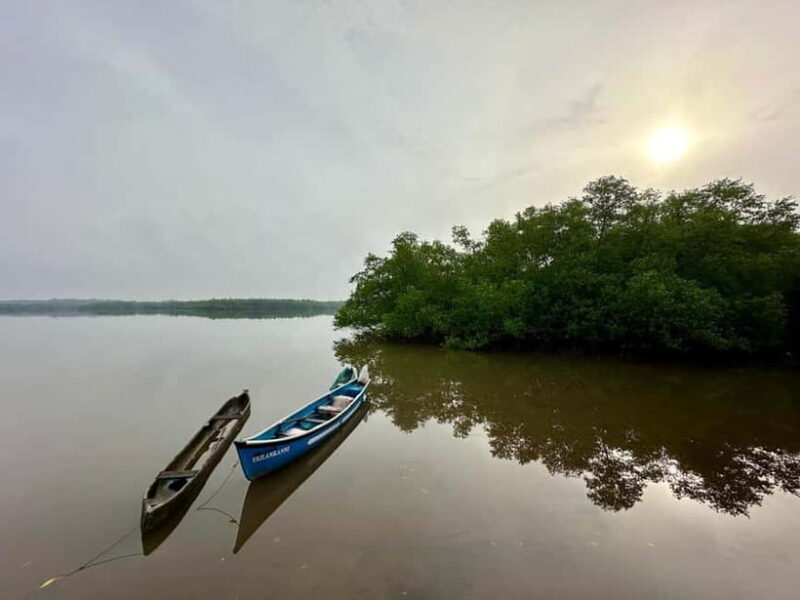 Divar Island Excursion with a Native Islander - Why Choose This Tour?