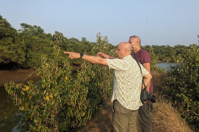 Divar Island excursion with Local residents on Nature and Culture - The Sum Up