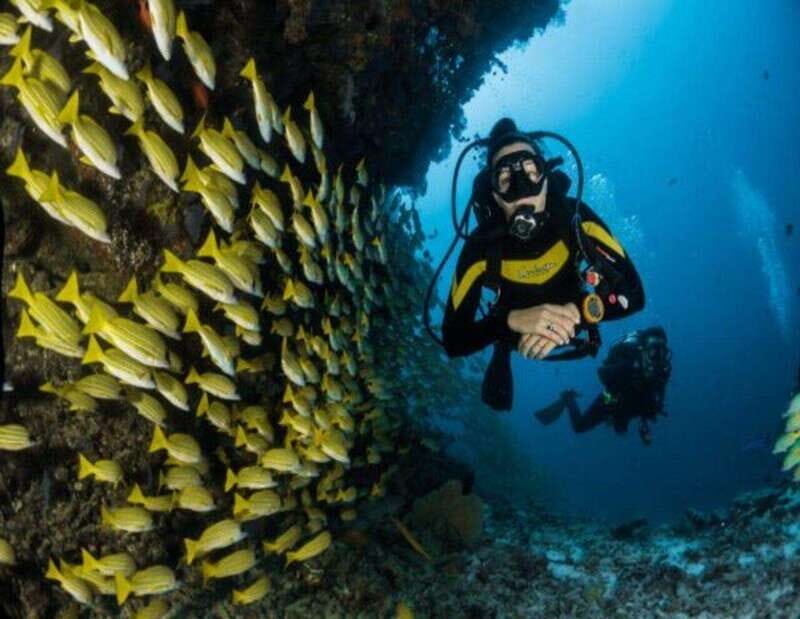 Dive Cenote - What’s Included and What’s Not