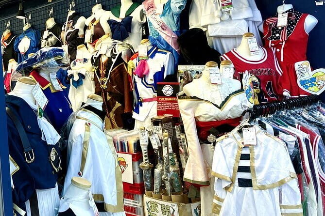 Dive Deep into Anime & Manga Culture & Karaoke in Nakano - Exploring the Value: Is the Tour Worth It?