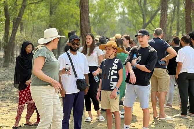 Dive deep into the wild wonders of Sundarban. - Analyzing the Value and Practicalities