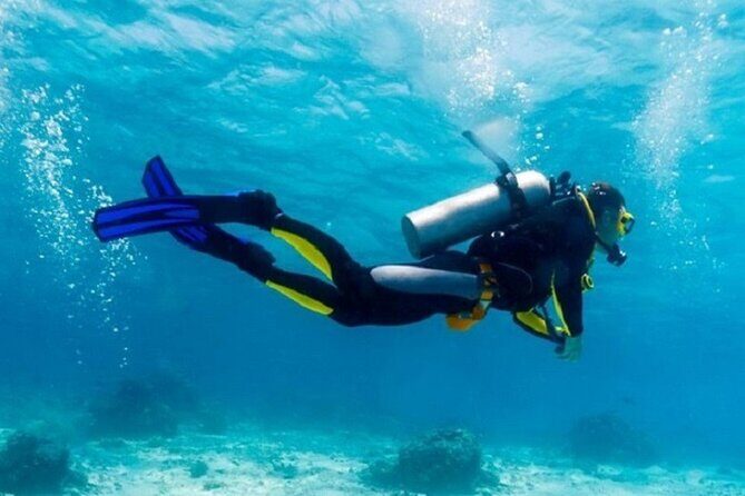 Dive Deep, Two Professional Dives, Transfer & Lunch  Hurghada - The Itinerary Breakdown