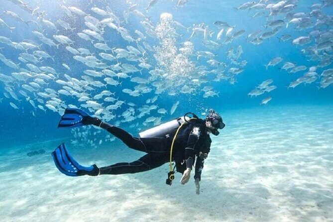 Dive Deep, Two Professional Dives, Transfer & Lunch  Hurghada - The Value Proposition