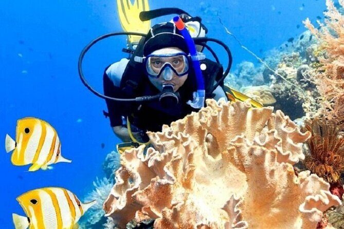 Dive Deep, Two Professional Dives, Transfer & Lunch  Hurghada - FAQ