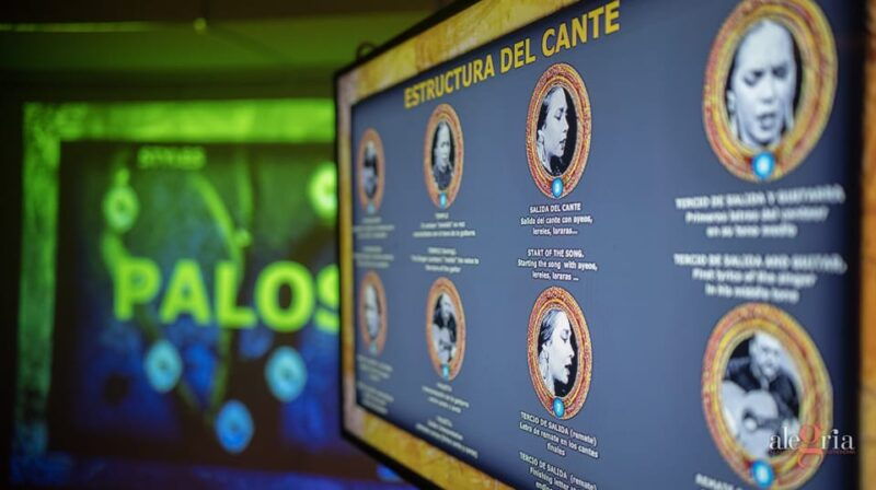 dive-in-and-discover-flamenco-in-an-interactive-journey