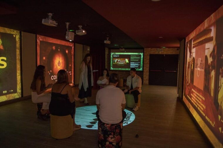 dive-in-and-discover-flamenco-in-an-interactive-journey