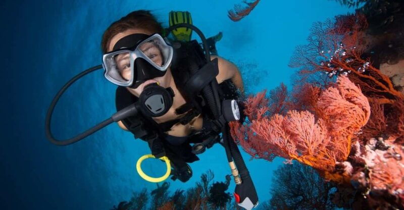 dive-into-adventure-explore-racha-island-3-dives