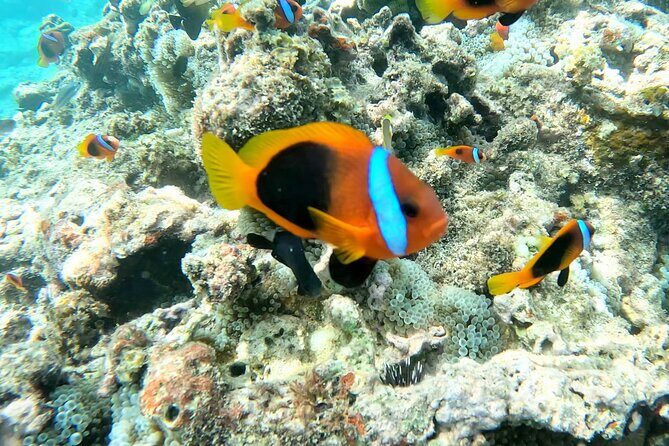 Dive Into Paradise: Snorkel Adventure at Paradise Cove - The Location: Paradise Cove’s Hidden Gem