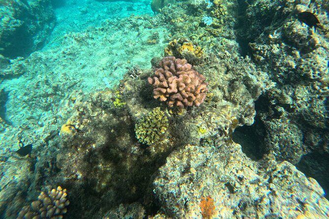 Dive Into Paradise: Snorkel Adventure at Paradise Cove - What’s Not Included and What to Bring  