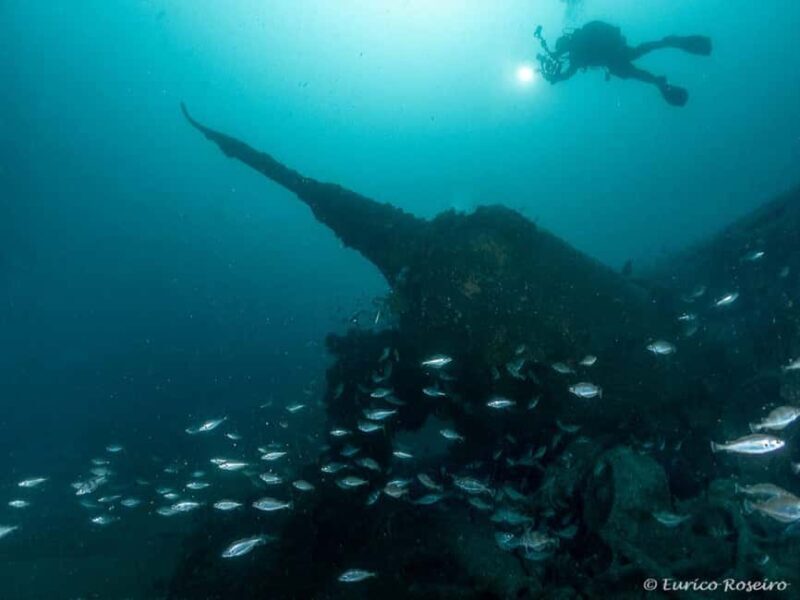 Dive the U-boat 1277 - the Most Iconic Dive in Portugal - Final Thoughts
