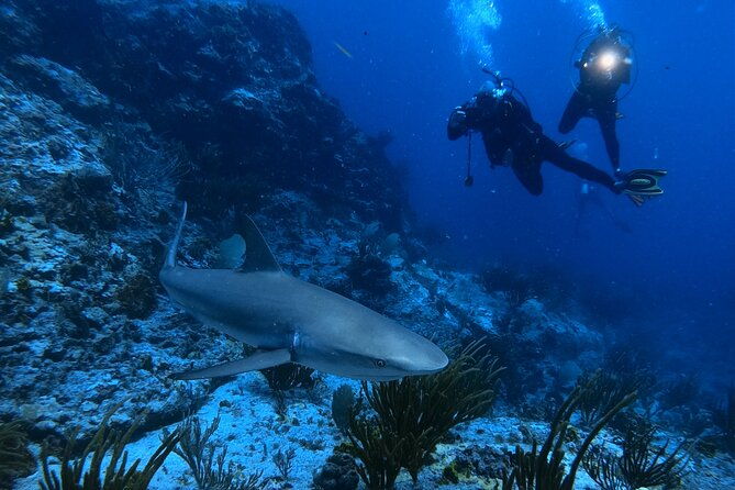 divecarib-an-eco-friendly-certified-diver-trip-in-antigua