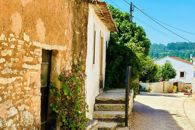 divine-journey-fatima-full-day-private-tour