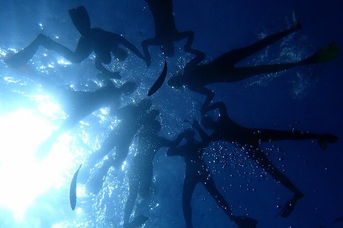 Diving Adventures - Boat and Shore Diving - The Guides: Knowledgeable, Friendly, and Safety-Conscious