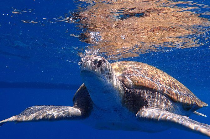 Diving Adventures - Boat and Shore Diving - Weather and Cancellation Policy