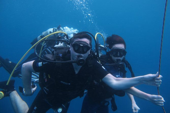 diving-and-or-snorkeling-day-from-a-catamaran