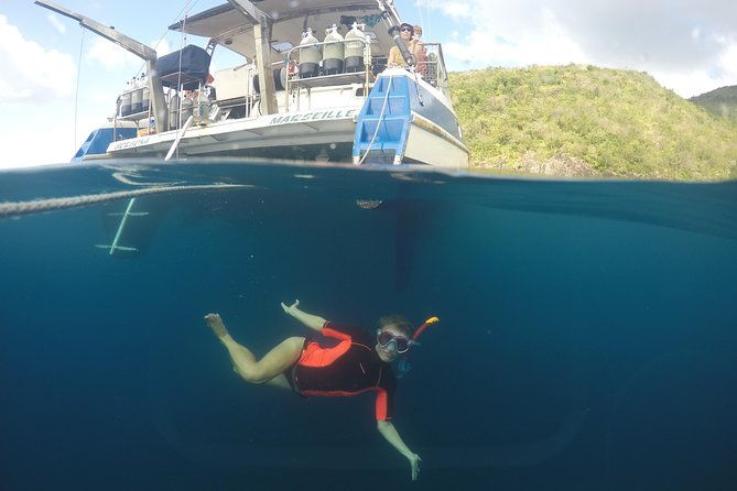 diving-and-or-snorkeling-day-from-a-catamaran