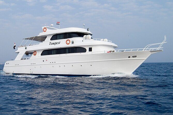 Diving And Snorkeling To Ras Mohamed And White Island By VIP Boat - An Overview of What to Expect