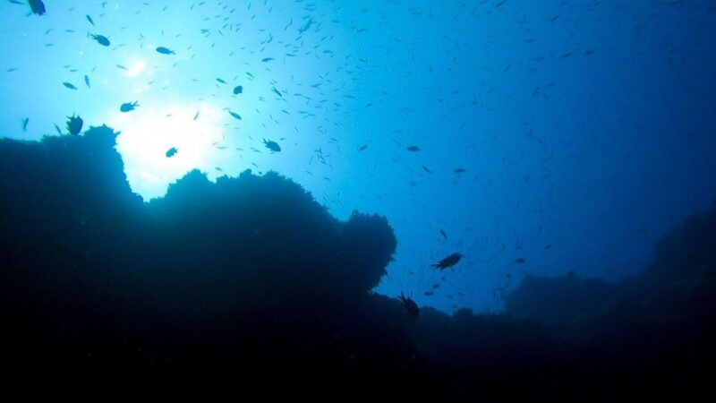 diving-at-lanzarote-2-guided-dives-for-certified-divers