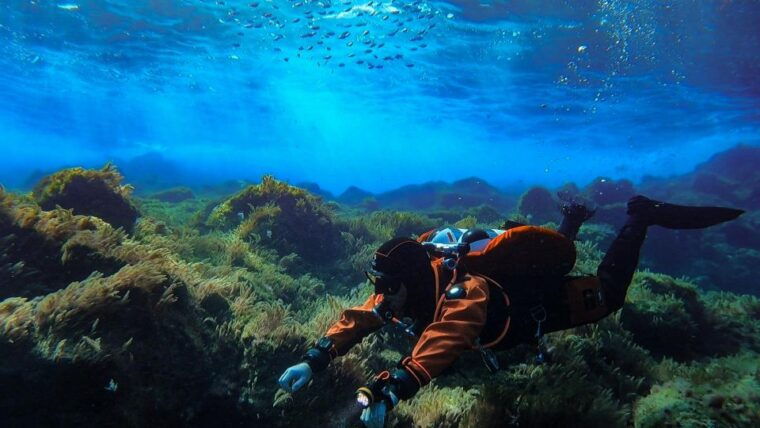 diving-at-lanzarote-2-guided-dives-for-certified-divers