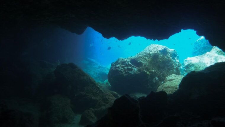 diving-at-lanzarote-2-guided-dives-for-certified-divers