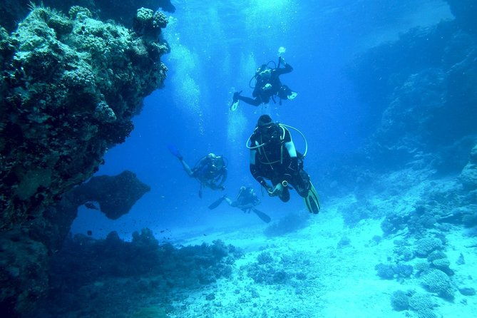 diving-baptism