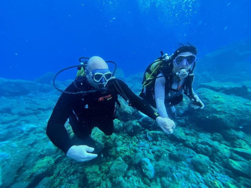 diving-course-for-beginners-in-turtle-area-tenerife