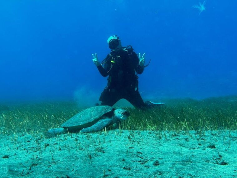 diving-course-for-beginners-in-turtle-area-tenerife