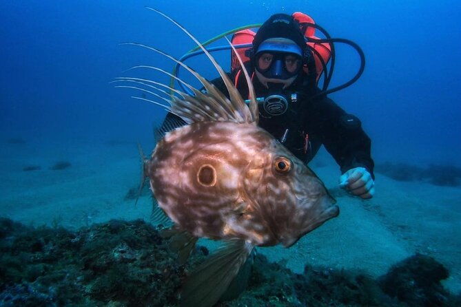 diving-course-with-padi-certification-in-costa-brava