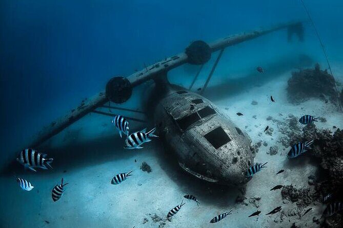 Diving day - Why This Tour Excels for Certified Divers