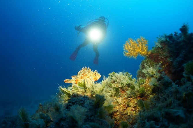 diving-day-tour-with-2-dives
