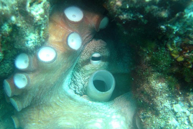 diving-day-tour-with-2-dives