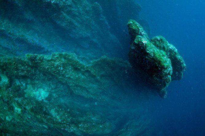 diving-day-tour-with-2-dives