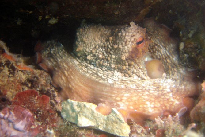 diving-day-tour-with-2-dives