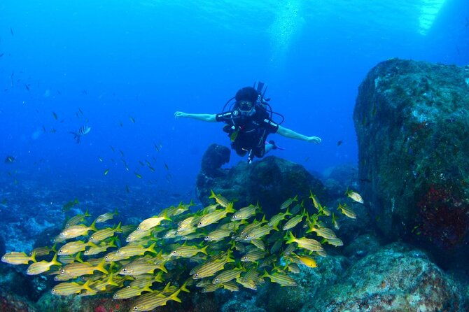 diving-experience-in-fernando-de-noronha