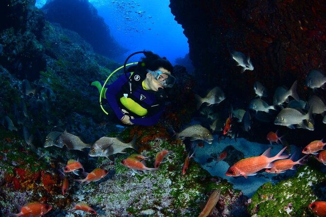 diving-experience-in-fernando-de-noronha