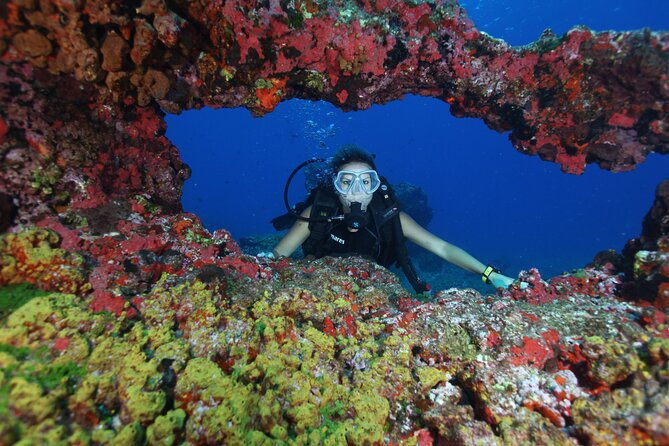 diving-experience-in-fernando-de-noronha