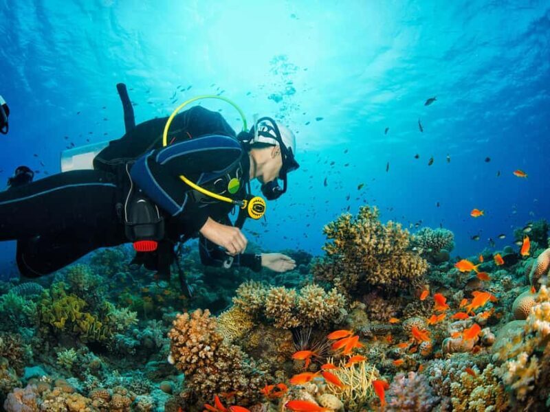 Diving Experience in Khasab - Introduction