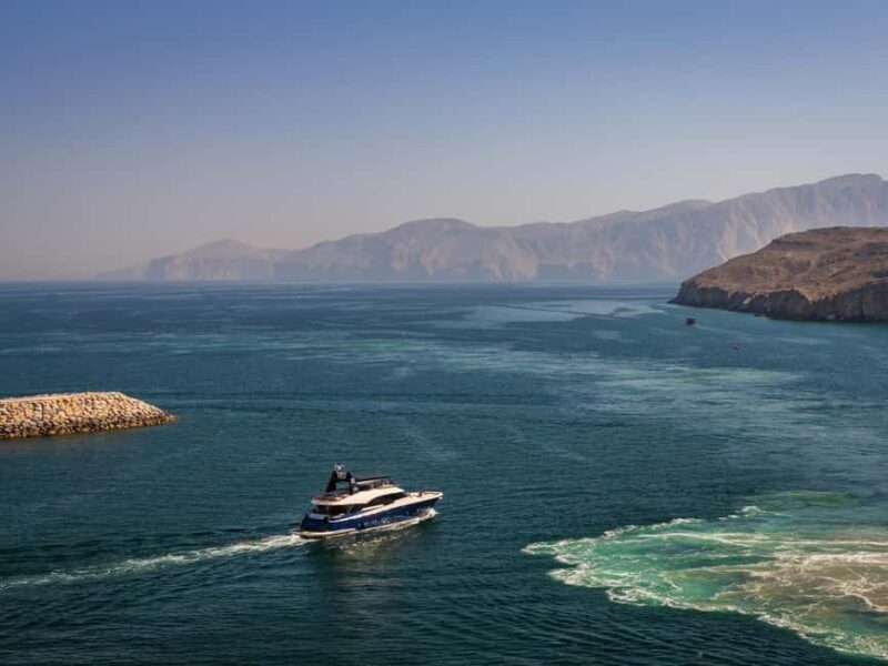 Diving Experience in Khasab - The Sum Up