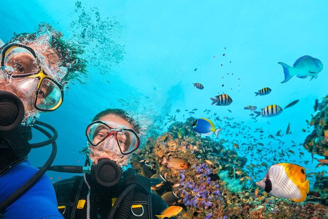 diving-experience-in-polignano-a-mare-with-certification