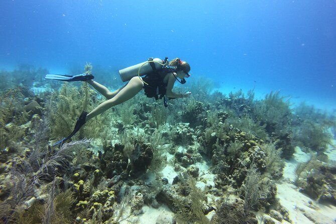 diving-experience-in-san-andres