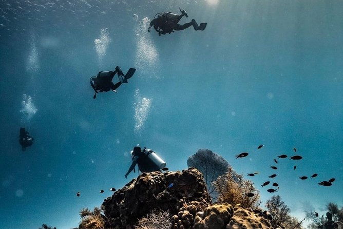 diving-experience-in-san-andres